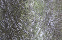 St Andrews Well fibreglass roof work